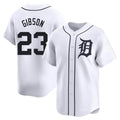 D.Tigers #23 Kirk Gibson Player White Home Limited Ddoa Stitched Jerseys