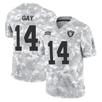 LV.Raiders #14 Matt Gay Player Arctic Camo Salute To Service Limited Game Ddoa Stitched Jerseys