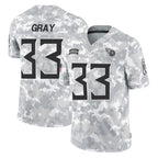 T.Titans #33 Cedric Gray Player Arctic Camo Limited Salute to Service Home Game Ddoa Stitched Jerseys